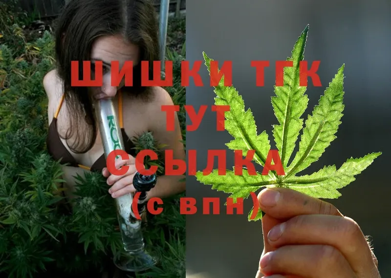 продажа наркотиков  Волоколамск  Конопля SATIVA & INDICA 